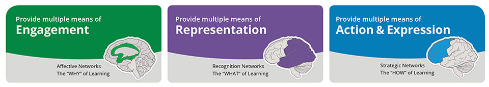 Three UDL principles and associated brain networks
